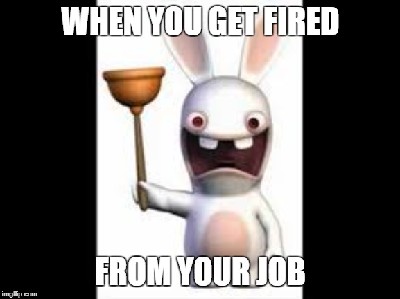 Rabbid | WHEN YOU GET FIRED; FROM YOUR JOB | image tagged in raving rabbids,rabbids,rabbit | made w/ Imgflip meme maker