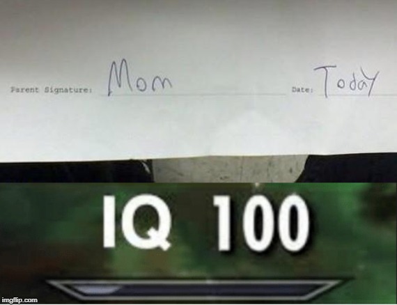 IQ | image tagged in iq,100 | made w/ Imgflip meme maker