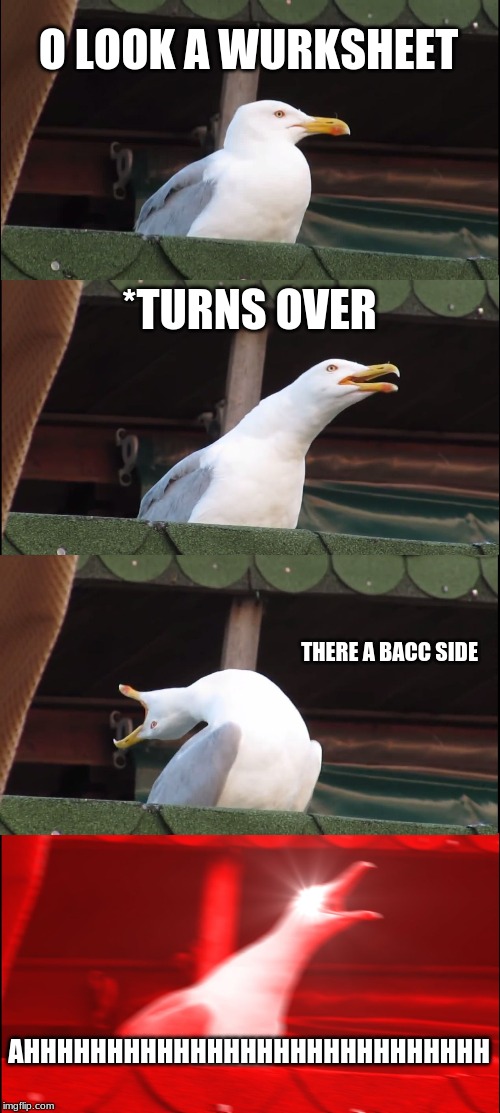 Inhaling Seagull Meme | O LOOK A WURKSHEET; *TURNS OVER; THERE A BACC SIDE; AHHHHHHHHHHHHHHHHHHHHHHHHHHHH | image tagged in memes,inhaling seagull | made w/ Imgflip meme maker