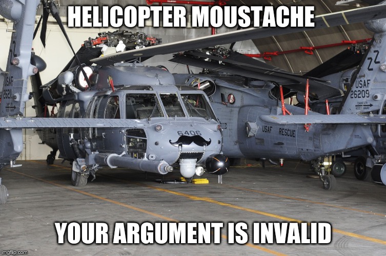 Helicopter Moustache | HELICOPTER MOUSTACHE; YOUR ARGUMENT IS INVALID | image tagged in helicopter moustache | made w/ Imgflip meme maker