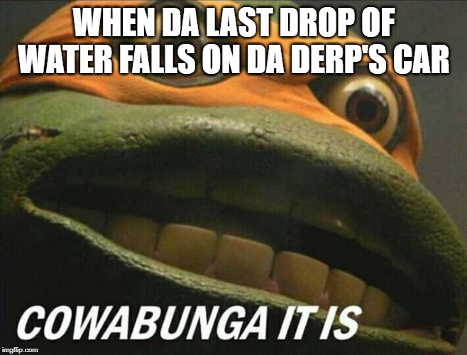 Cowabunga it is | WHEN DA LAST DROP OF WATER FALLS ON DA DERP'S CAR | image tagged in cowabunga it is | made w/ Imgflip meme maker