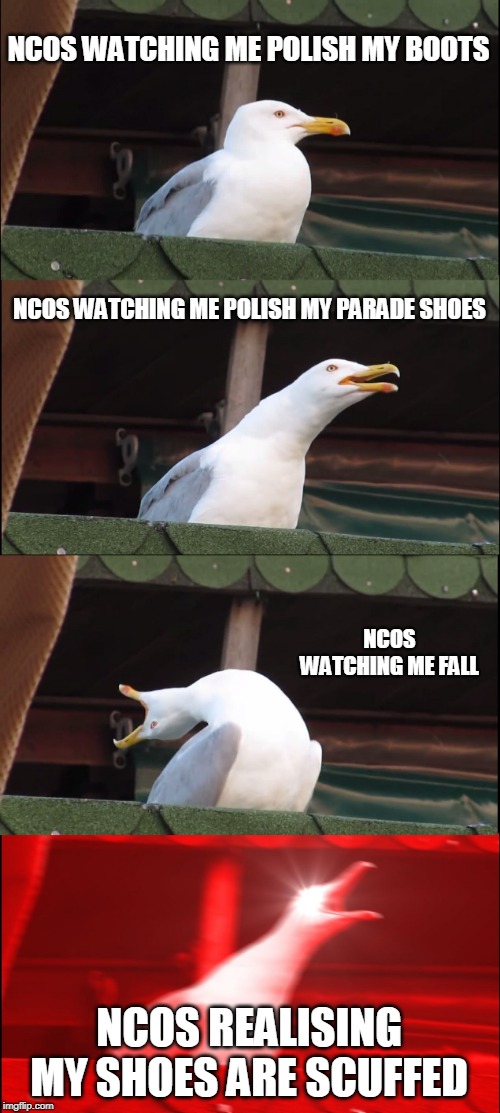Inhaling Seagull | NCOS WATCHING ME POLISH MY BOOTS; NCOS WATCHING ME POLISH MY PARADE SHOES; NCOS WATCHING ME FALL; NCOS REALISING MY SHOES ARE SCUFFED | image tagged in memes,inhaling seagull | made w/ Imgflip meme maker
