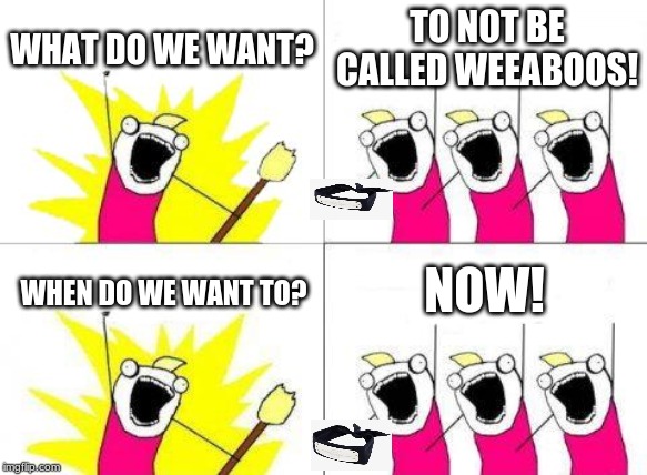 What Do We Want | WHAT DO WE WANT? TO NOT BE CALLED WEEABOOS! NOW! WHEN DO WE WANT TO? | image tagged in memes,what do we want | made w/ Imgflip meme maker