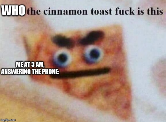what the cinnamon toast f^%$ is this | WHO; ME AT 3 AM, ANSWERING THE PHONE: | image tagged in what the cinnamon toast f is this | made w/ Imgflip meme maker