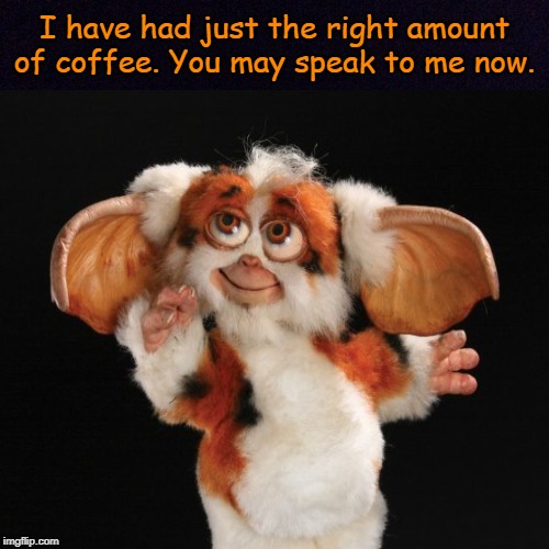 Daffy Mogwai | I have had just the right amount of coffee. You may speak to me now. | image tagged in daffy mogwai,gremlins 2,i love coffee,memes | made w/ Imgflip meme maker