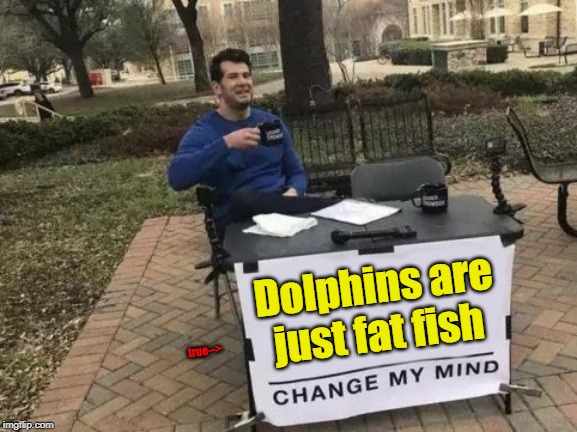 Change My Mind Meme | Dolphins are just fat fish; true--> | image tagged in memes,change my mind | made w/ Imgflip meme maker