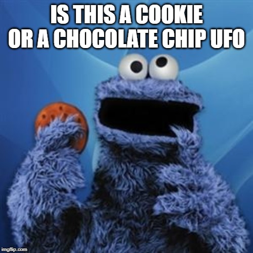 cookie monster | IS THIS A COOKIE OR A CHOCOLATE CHIP UFO | image tagged in cookie monster | made w/ Imgflip meme maker