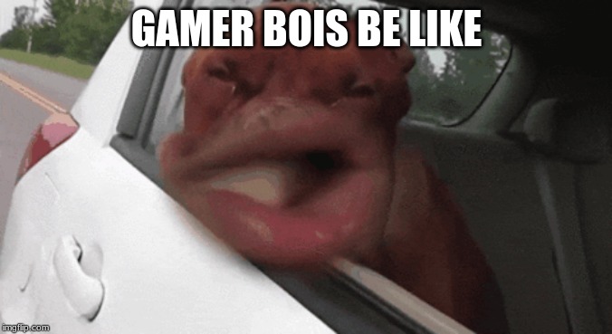 GAMERS-BOIS | GAMER BOIS BE LIKE | made w/ Imgflip meme maker