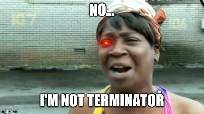 Ain't Nobody Got Time For That | NO... I'M NOT TERMINATOR | image tagged in memes,aint nobody got time for that | made w/ Imgflip meme maker