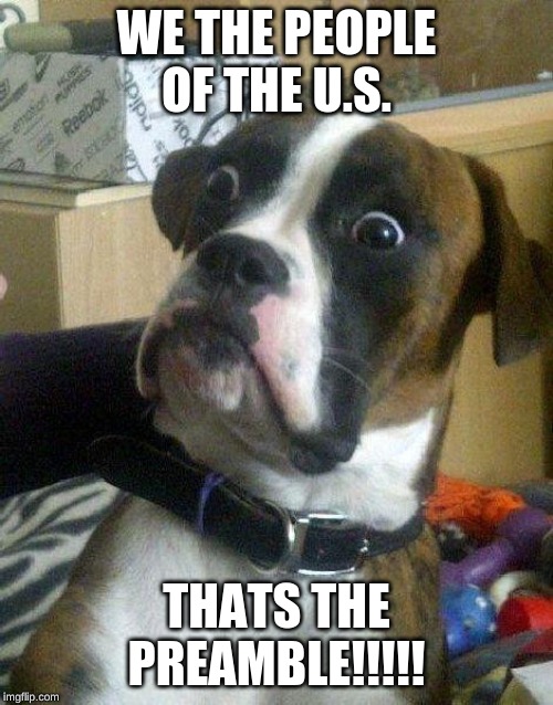 Surprised Dog | WE THE PEOPLE OF THE U.S. THATS THE PREAMBLE!!!!! | image tagged in surprised dog | made w/ Imgflip meme maker