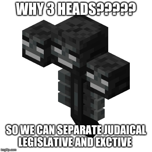 The wither | WHY 3 HEADS????? SO WE CAN SEPARATE JUDAICAL LEGISLATIVE AND EXECUTIVE | image tagged in the wither | made w/ Imgflip meme maker