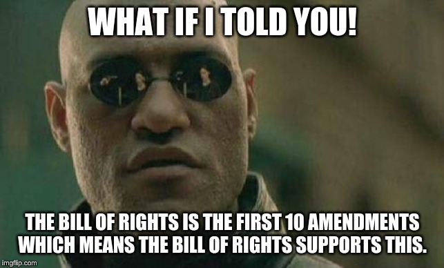 what if I told you  | WHAT IF I TOLD YOU! THE BILL OF RIGHTS IS THE FIRST 10 AMENDMENTS WHICH MEANS THE BILL OF RIGHTS SUPPORTS THIS. | image tagged in what if i told you | made w/ Imgflip meme maker