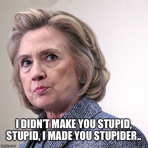 hillary clinton pissed | I DIDN’T MAKE YOU STUPID, STUPID, I MADE YOU STUPIDER.. | image tagged in hillary clinton pissed | made w/ Imgflip meme maker