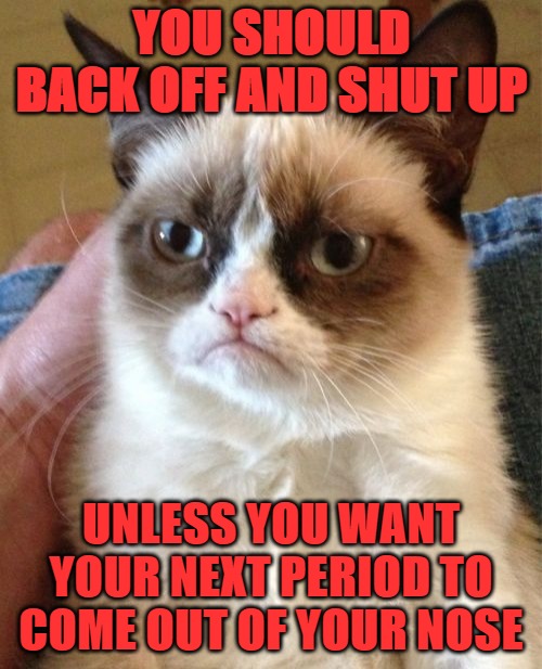 Grumpy Cat Meme | YOU SHOULD BACK OFF AND SHUT UP; UNLESS YOU WANT YOUR NEXT PERIOD TO COME OUT OF YOUR NOSE | image tagged in memes,grumpy cat | made w/ Imgflip meme maker