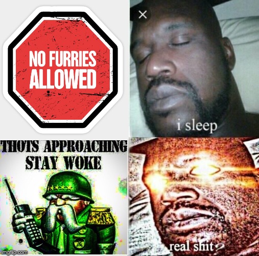 Begone Thot | image tagged in sleeping shaq,furries,thots | made w/ Imgflip meme maker