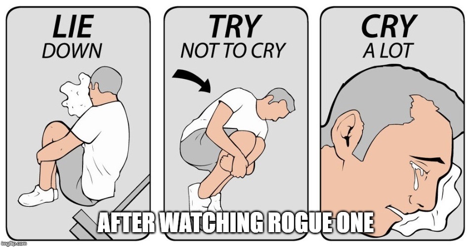 Rogue One | AFTER WATCHING ROGUE ONE | image tagged in try not to cry,star wars,rogue one | made w/ Imgflip meme maker