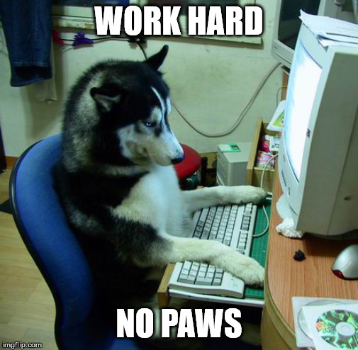 I Have No Idea What I Am Doing Meme | WORK HARD; NO PAWS | image tagged in memes,i have no idea what i am doing | made w/ Imgflip meme maker