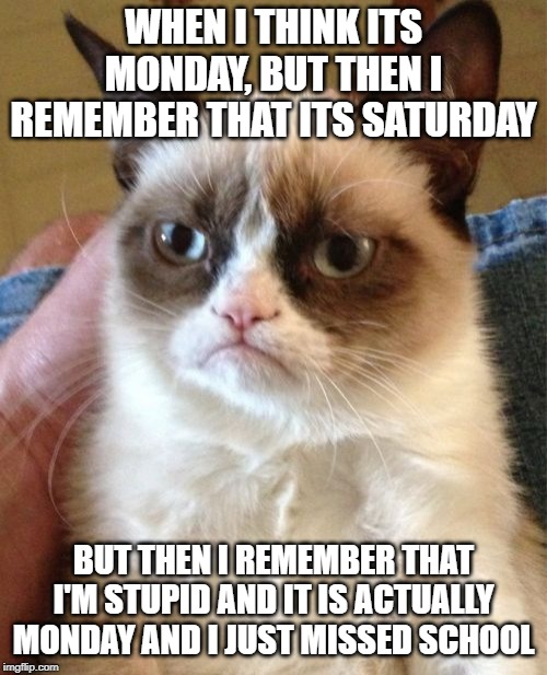 Grumpy Cat | WHEN I THINK ITS MONDAY, BUT THEN I REMEMBER THAT ITS SATURDAY; BUT THEN I REMEMBER THAT I'M STUPID AND IT IS ACTUALLY MONDAY AND I JUST MISSED SCHOOL | image tagged in memes,grumpy cat | made w/ Imgflip meme maker