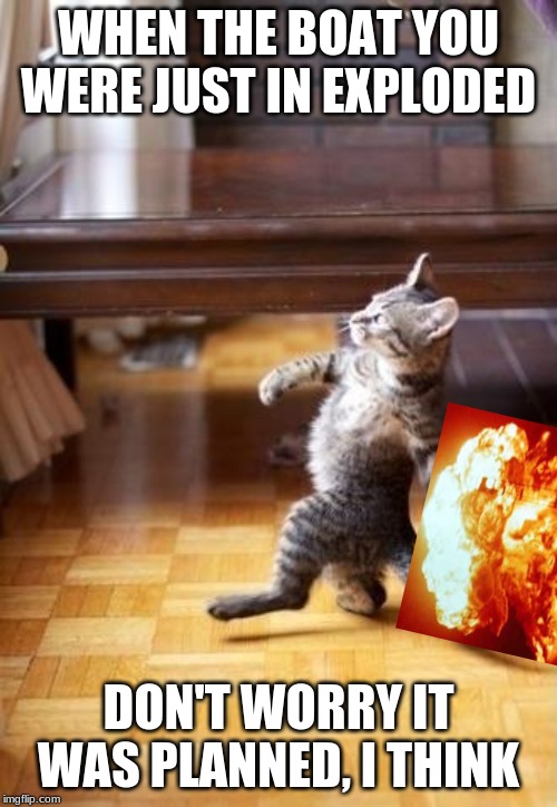 Cool Cat Stroll Meme | WHEN THE BOAT YOU WERE JUST IN EXPLODED; DON'T WORRY IT WAS PLANNED, I THINK | image tagged in memes,cool cat stroll | made w/ Imgflip meme maker