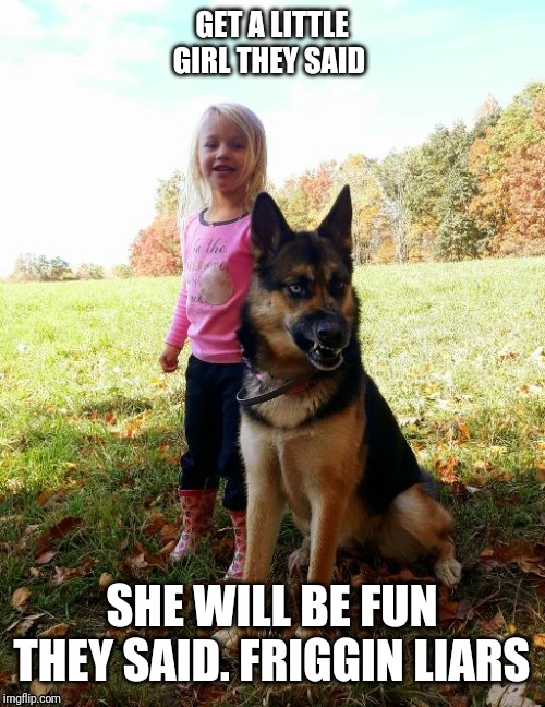 Girl troubles | GET A LITTLE GIRL THEY SAID; SHE WILL BE FUN THEY SAID. FRIGGIN LIARS | image tagged in dogs | made w/ Imgflip meme maker