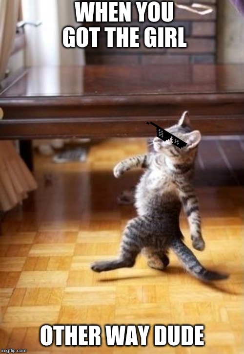 Cool Cat Stroll Meme | WHEN YOU GOT THE GIRL; OTHER WAY DUDE | image tagged in memes,cool cat stroll | made w/ Imgflip meme maker