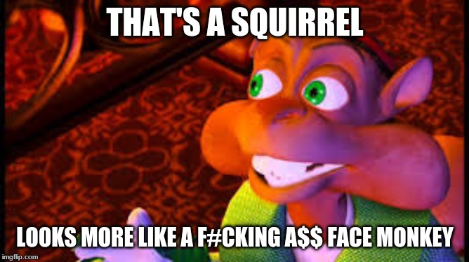 THAT'S A SQUIRREL | THAT'S A SQUIRREL; LOOKS MORE LIKE A F#CKING A$$ FACE MONKEY | image tagged in food,fight,squirrel,monkey,ugly,heidi from hell | made w/ Imgflip meme maker