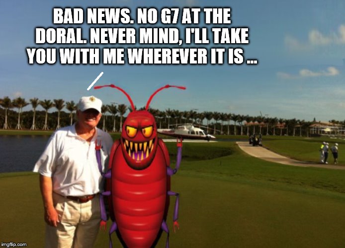 No G7 at the Doral | BAD NEWS. NO G7 AT THE DORAL. NEVER MIND, I'LL TAKE YOU WITH ME WHEREVER IT IS ... | image tagged in donald trump,bedbugs,impeach trump,trump is a moron | made w/ Imgflip meme maker