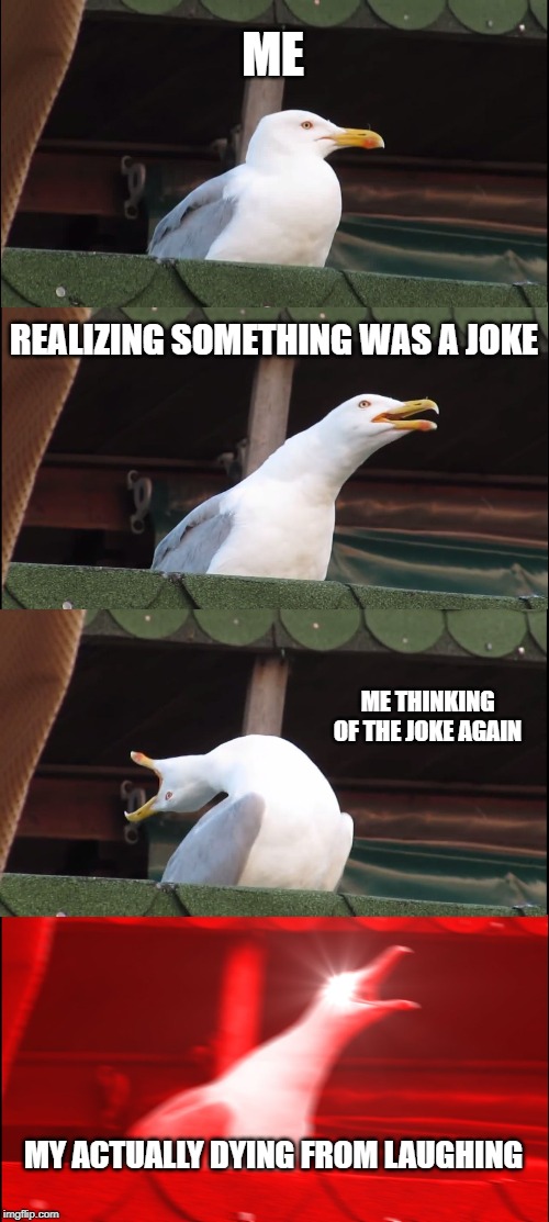 Inhaling Seagull Meme | ME; REALIZING SOMETHING WAS A JOKE; ME THINKING OF THE JOKE AGAIN; MY ACTUALLY DYING FROM LAUGHING | image tagged in memes,inhaling seagull | made w/ Imgflip meme maker