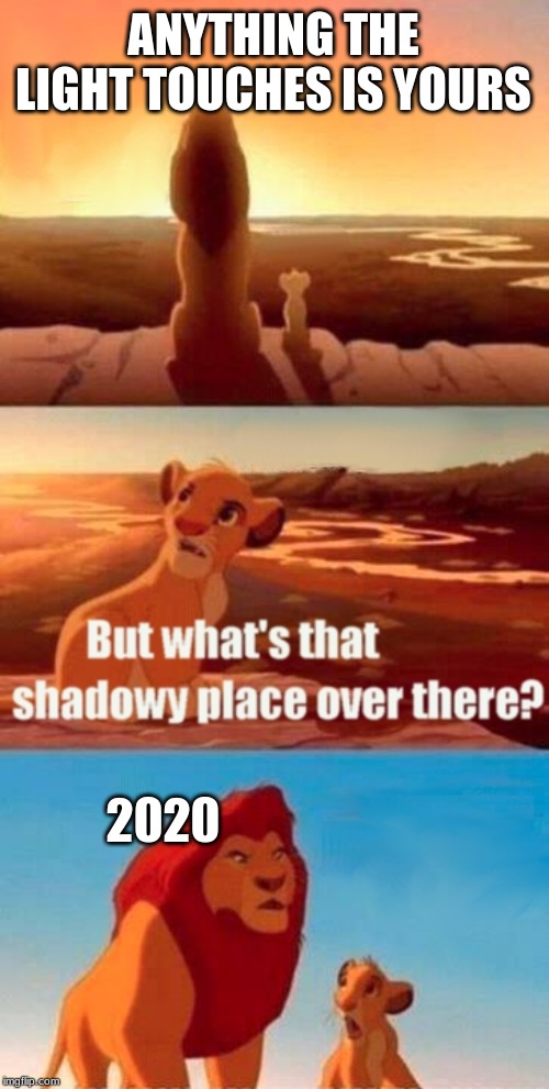 Simba Shadowy Place Meme | ANYTHING THE LIGHT TOUCHES IS YOURS; 2020 | image tagged in memes,simba shadowy place | made w/ Imgflip meme maker