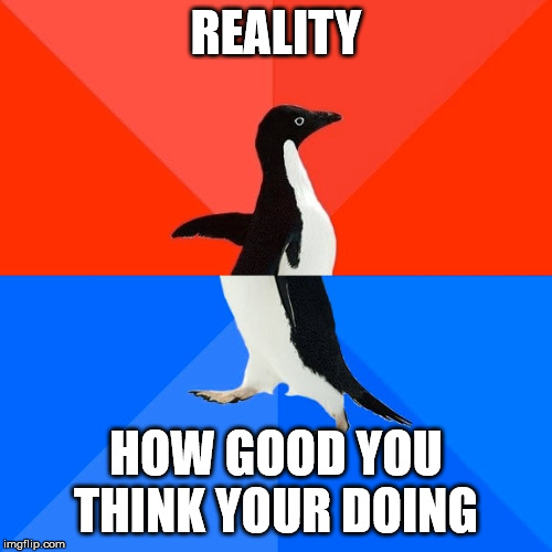 Socially Awesome Awkward Penguin | REALITY; HOW GOOD YOU THINK YOUR DOING | image tagged in memes,socially awesome awkward penguin | made w/ Imgflip meme maker