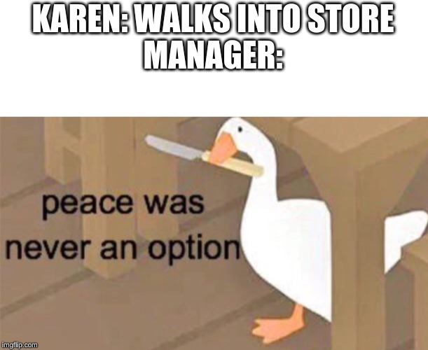 Untitled Goose Peace Was Never an Option | KAREN: WALKS INTO STORE
MANAGER: | image tagged in untitled goose peace was never an option | made w/ Imgflip meme maker