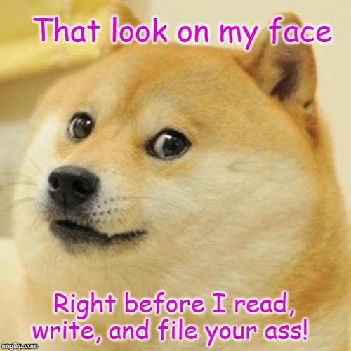 Doge Meme | That look on my face; Right before I read, write, and file your ass! | image tagged in memes,doge | made w/ Imgflip meme maker