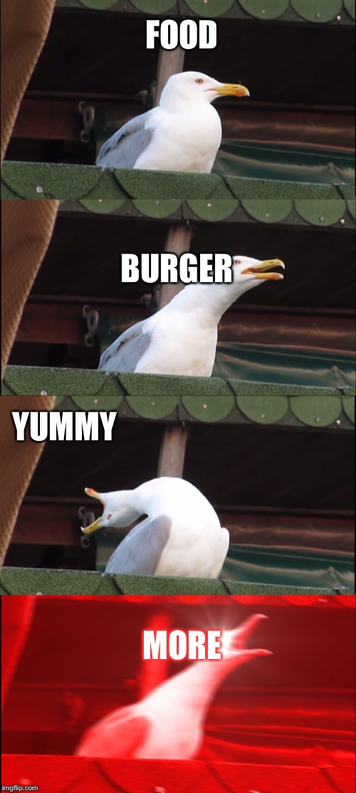 Inhaling Seagull | FOOD; BURGER; YUMMY; MORE | image tagged in memes,inhaling seagull | made w/ Imgflip meme maker