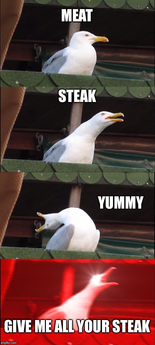 Inhaling Seagull Meme | MEAT; STEAK; YUMMY; GIVE ME ALL YOUR STEAK | image tagged in memes,inhaling seagull | made w/ Imgflip meme maker