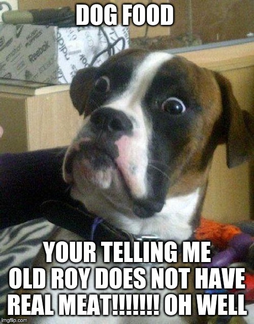 Surprised Dog | DOG FOOD; YOUR TELLING ME OLD ROY DOES NOT HAVE REAL MEAT!!!!!!! OH WELL | image tagged in surprised dog | made w/ Imgflip meme maker