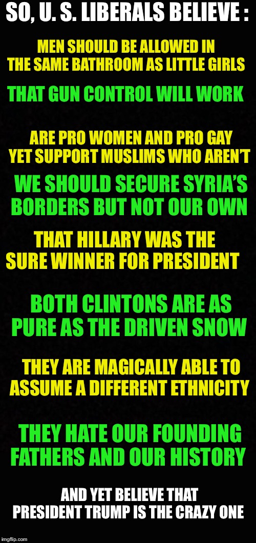 Who votes for these nuts ? | SO, U. S. LIBERALS BELIEVE :; MEN SHOULD BE ALLOWED IN THE SAME BATHROOM AS LITTLE GIRLS; THAT GUN CONTROL WILL WORK; ARE PRO WOMEN AND PRO GAY YET SUPPORT MUSLIMS WHO AREN’T; WE SHOULD SECURE SYRIA’S BORDERS BUT NOT OUR OWN; THAT HILLARY WAS THE SURE WINNER FOR PRESIDENT; BOTH CLINTONS ARE AS PURE AS THE DRIVEN SNOW; THEY ARE MAGICALLY ABLE TO ASSUME A DIFFERENT ETHNICITY; THEY HATE OUR FOUNDING FATHERS AND OUR HISTORY; AND YET BELIEVE THAT PRESIDENT TRUMP IS THE CRAZY ONE | image tagged in insane,unhinged,why we need term limits | made w/ Imgflip meme maker