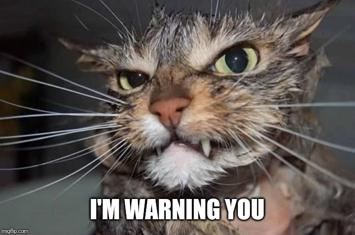 Angry Mad Cat | I'M WARNING YOU | image tagged in angry mad cat,cats,cat memes,memes,mad cat memes | made w/ Imgflip meme maker