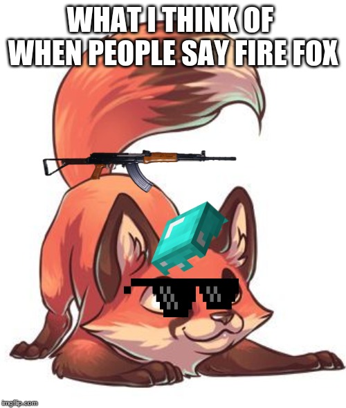 fire fox | WHAT I THINK OF  WHEN PEOPLE SAY FIRE FOX | image tagged in funny memes | made w/ Imgflip meme maker