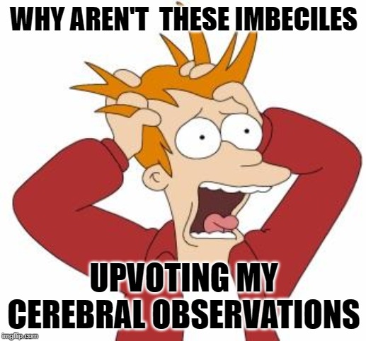 Fry Freaking Out | WHY AREN'T  THESE IMBECILES UPVOTING MY CEREBRAL OBSERVATIONS | image tagged in fry freaking out | made w/ Imgflip meme maker