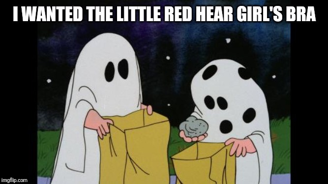 Charlie Brown Halloween Rock | I WANTED THE LITTLE RED HEAR GIRL'S BRA | image tagged in charlie brown halloween rock | made w/ Imgflip meme maker
