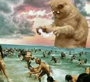 Cat terrorizing beach Blank Meme Template