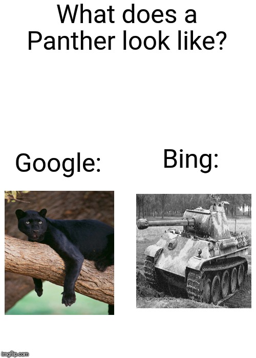 What does a Panther look like? Google:; Bing: | made w/ Imgflip meme maker