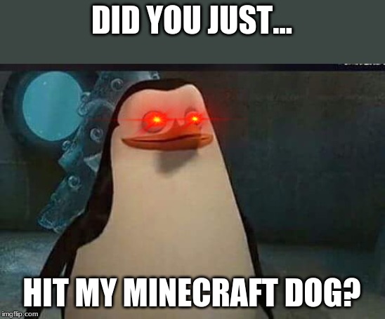 Madagascar penguin | DID YOU JUST... HIT MY MINECRAFT DOG? | image tagged in madagascar penguin | made w/ Imgflip meme maker