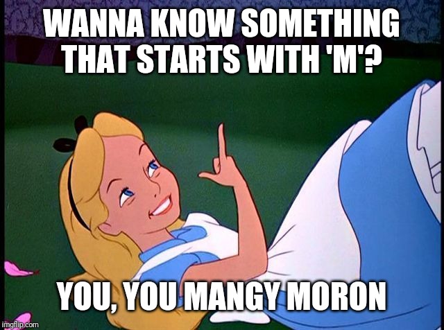 Alice in Wonderland | WANNA KNOW SOMETHING THAT STARTS WITH 'M'? YOU, YOU MANGY MORON | image tagged in alice in wonderland | made w/ Imgflip meme maker