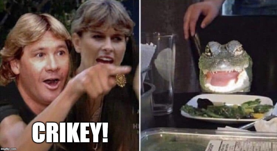 CRIKEY! | made w/ Imgflip meme maker