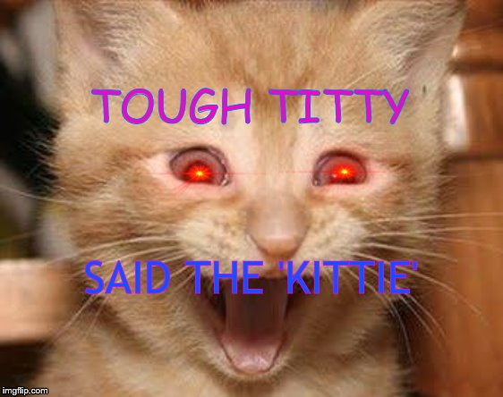 Prayerz for milkz pleze | TOUGH TITTY; SAID THE 'KITTIE' | image tagged in tough,cats | made w/ Imgflip meme maker