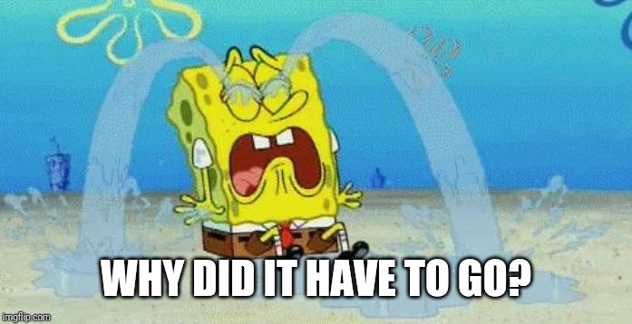 sad crying spongebob | WHY DID IT HAVE TO GO? | image tagged in sad crying spongebob | made w/ Imgflip meme maker