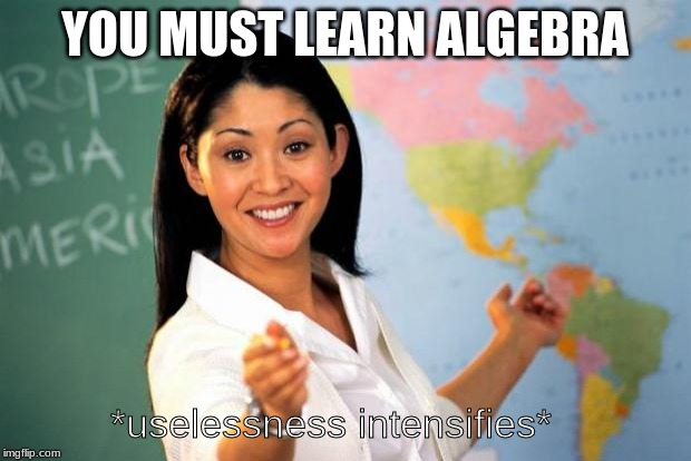 Unhelpful Teacher  | YOU MUST LEARN ALGEBRA; *uselessness intensifies* | image tagged in unhelpful teacher | made w/ Imgflip meme maker