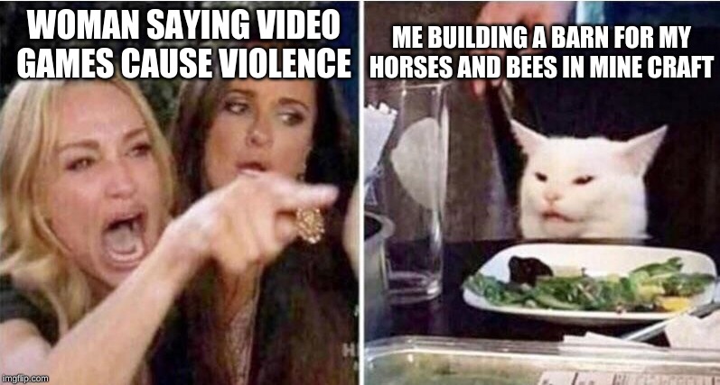 Crying girls and Cat | ME BUILDING A BARN FOR MY HORSES AND BEES IN MINE CRAFT; WOMAN SAYING VIDEO GAMES CAUSE VIOLENCE | image tagged in crying girls and cat | made w/ Imgflip meme maker