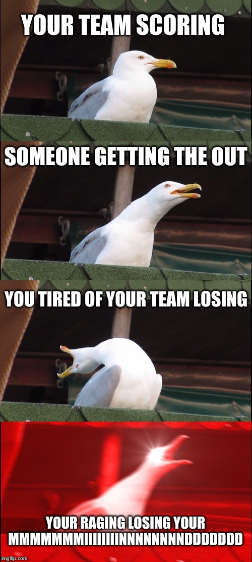 Inhaling Seagull Meme | YOUR TEAM SCORING; SOMEONE GETTING THE OUT; YOU TIRED OF YOUR TEAM LOSING; YOUR RAGING LOSING YOUR MMMMMMMIIIIIIIINNNNNNNNDDDDDDD | image tagged in memes,inhaling seagull | made w/ Imgflip meme maker